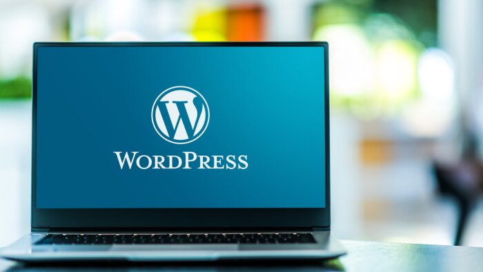 Worpress temanızı düzenlerim