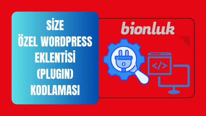 sizin için wordpress eklentileri yazabilirim