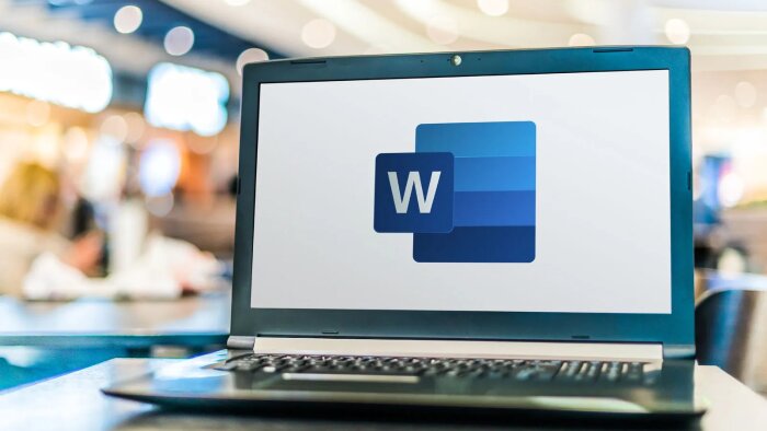 Word üzerinde yazılarınızı içeriklerinizi yaparım