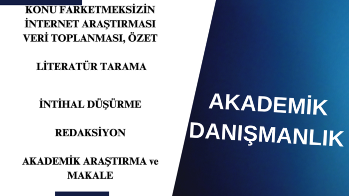 dilediğiniz konuda internet araştırması yapabilirim