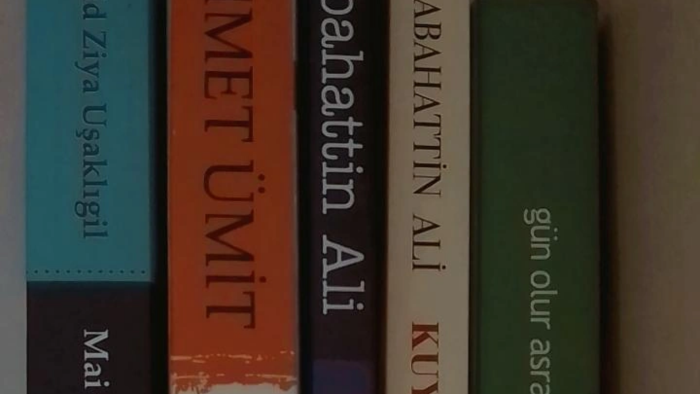 yorumlama ve inceleme yapıyorum