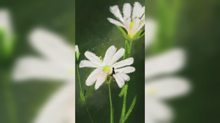 2b kısa animasyonlar hazırlarım