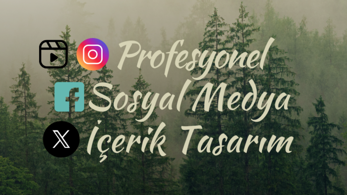 profil, post, reels ve hikaye tasarımı yaparım