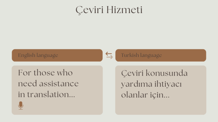 İngilizce metinlerinizi Türk diline çevirebilirim