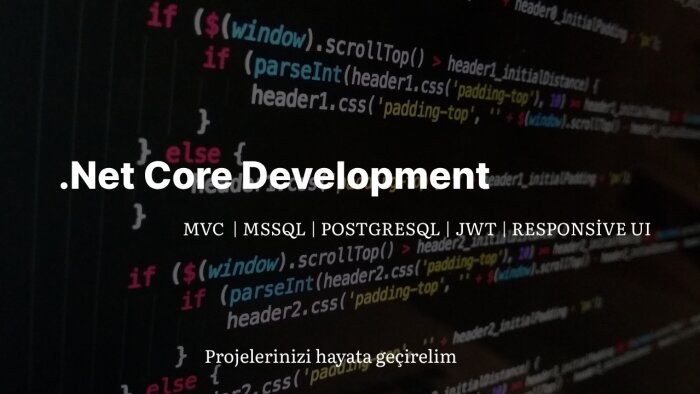 .net core api ve mvc projelerinizi yaparım