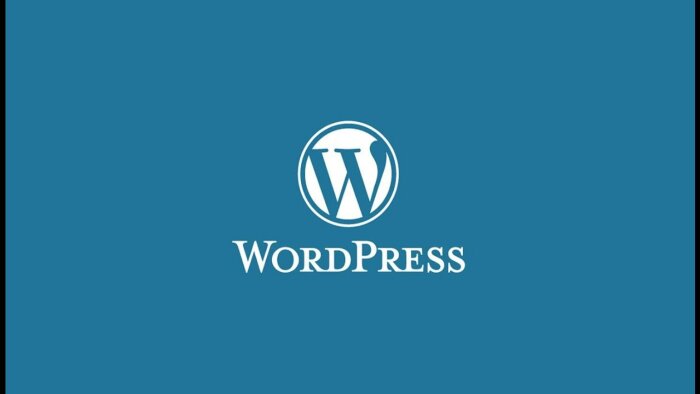 profesyonel olarak wordpress sitenizi kurabilirim
