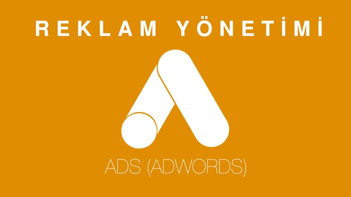 Google Ads kampanyalarınızı yönetirim