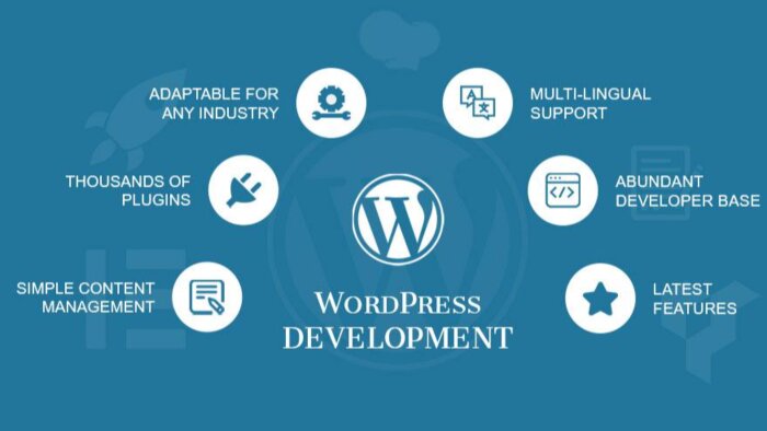 sizin için anahtar teslim websitesi yapabilirim
