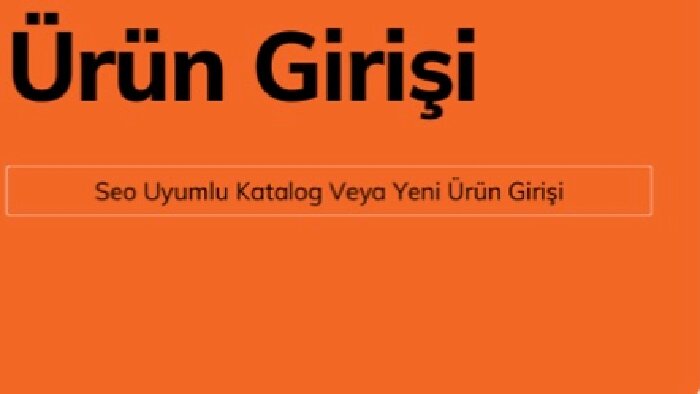 veri girişini ve excel eksiksiz şekilde sağlarım