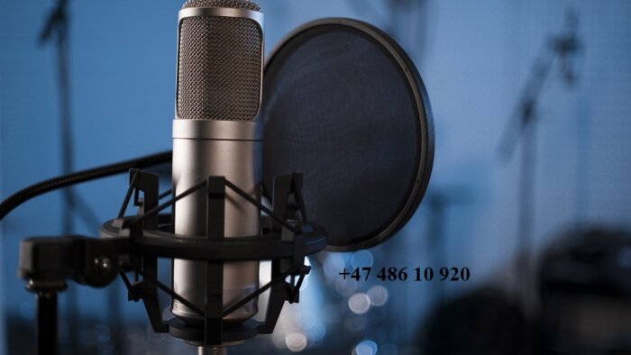 radyo,tv,sosyal medya için Norveççe seslendirme yaparım
