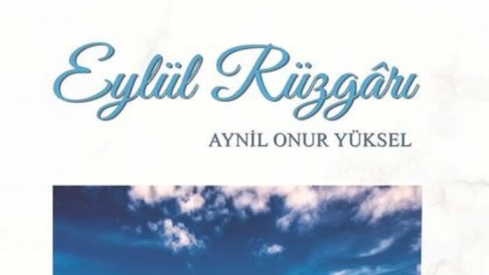kurgu romanlarınıza editörlük yapabilirim