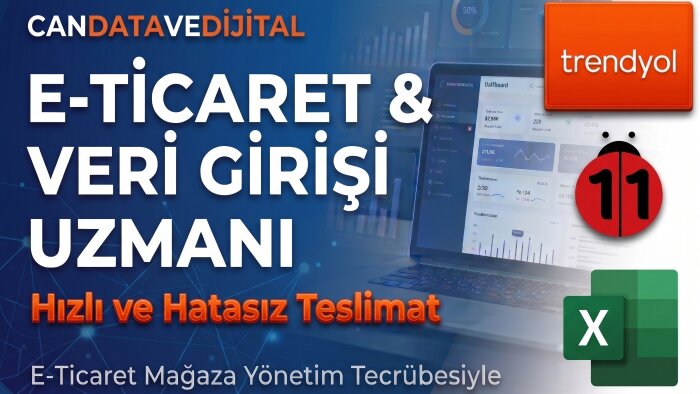 e-ticaret mağazalarınıza veri girişi yaparım