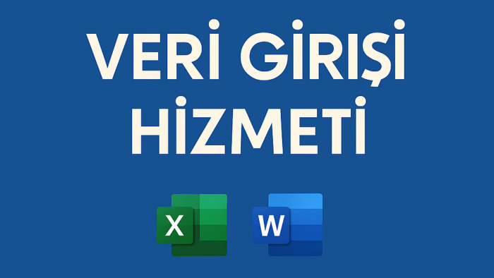 profesyonel ve eksiksiz veri girişi yaparım