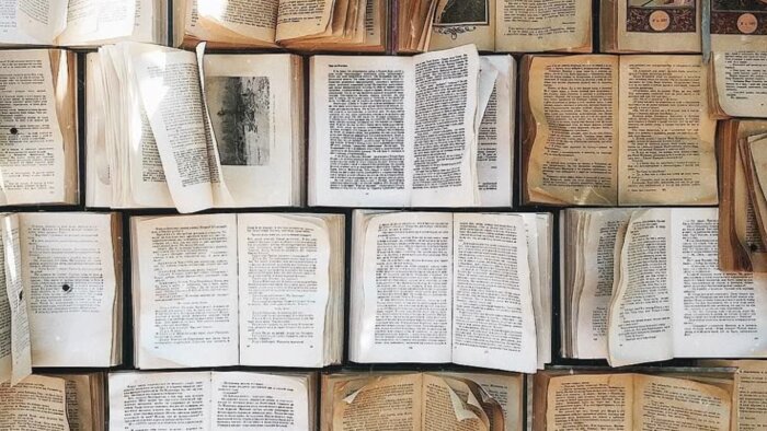 İngilizce kitap ve şiir analizi konusunda yardımcı olurum