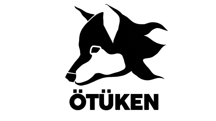 minimalist logo tasarımı yaparım