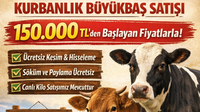 firma logonuzu profesyonel şekilde tasarlarım