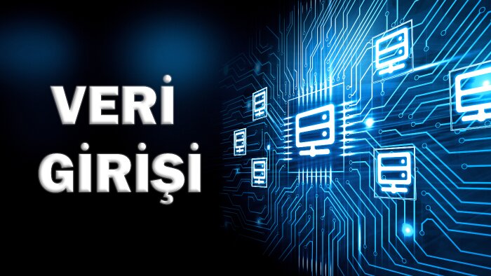veri girişi konusunda size  destek olmak isterim
