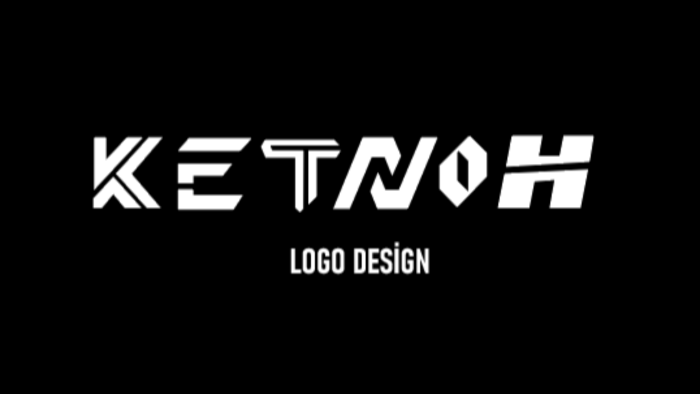 size özel tarzda logo tasarımı yapabilirim