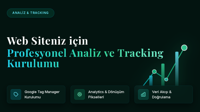 web sitenize profesyonel analiz ve tracking kurulumu yaparım