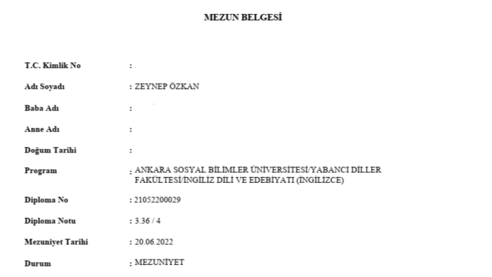 İngilizce-Türkçe / Türkçe-İngilizce çeviri yapıyorum