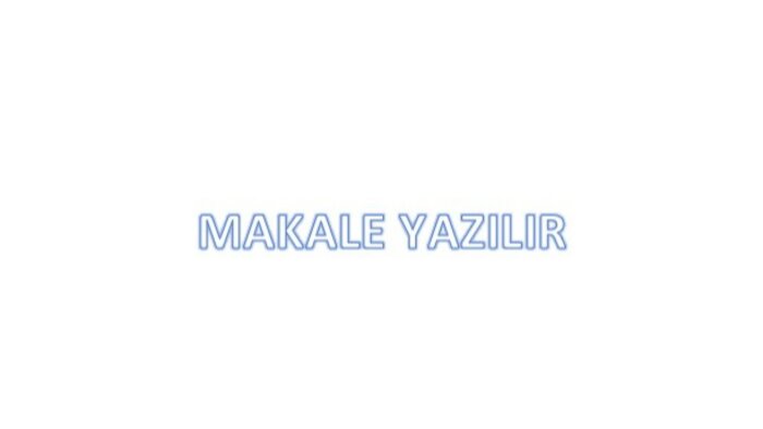 istediğiniz içerikte profesyonel makale ve metinler yazarım