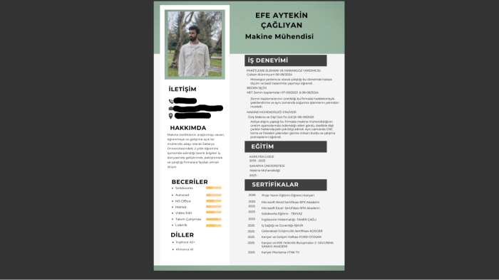 profesyonel bir özgeçmiş oluşturabilirim