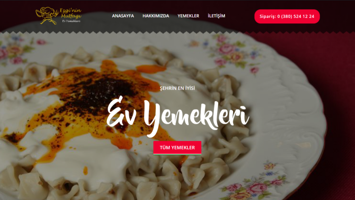 sizin için websitesi hazırlayabilirim