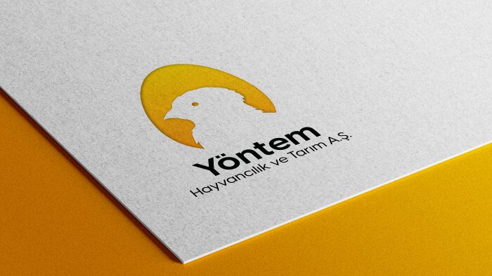 kurumunuzu temsil edecek güzel bir logo yapabilirim