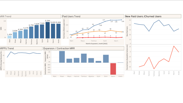 excel, sql ve tableu ile veri analizi ve raporlama yapıyorum