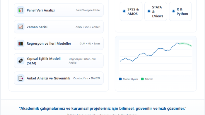 akademik ekonometrik ve istatistiksel analizler yaparım