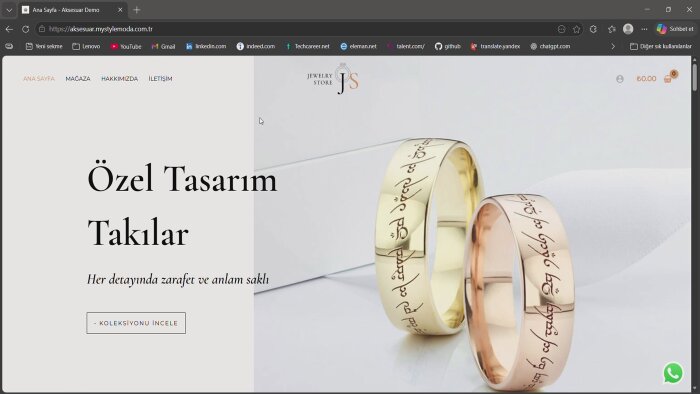profesyonel kurumsal web sitesi kurarım