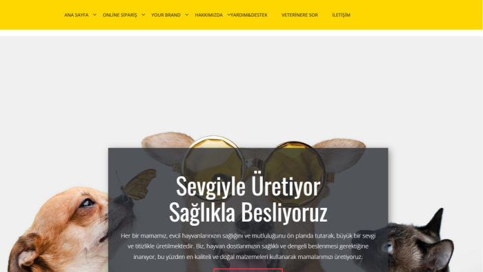 anahtar teslim, mobil uyumlu bir web sitesi hazırlarım