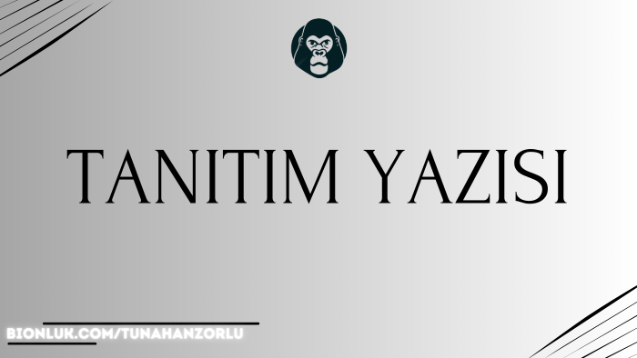 R10 da web sitenizin tanıtımını yapıyorum