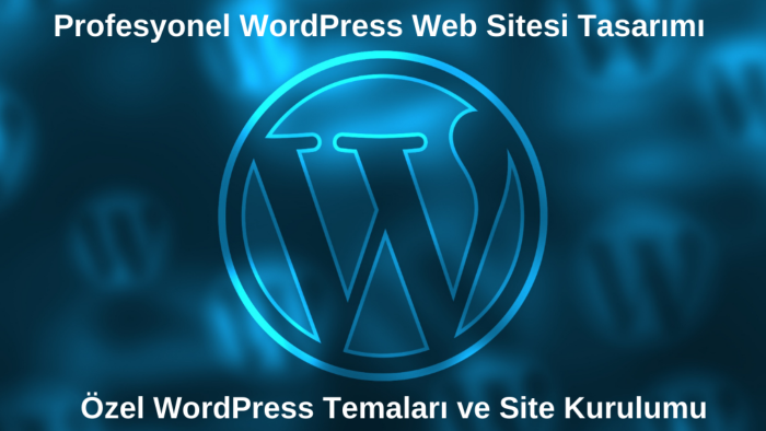 seo uyumlu WordPress web siteleri oluşturabilirim