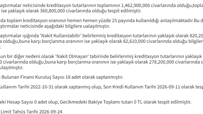 ticari risk analizi ve istihbarat yaparım