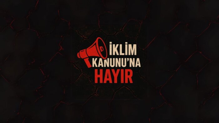 canva uygulamasından profesyonel logo tasarlayabilirim