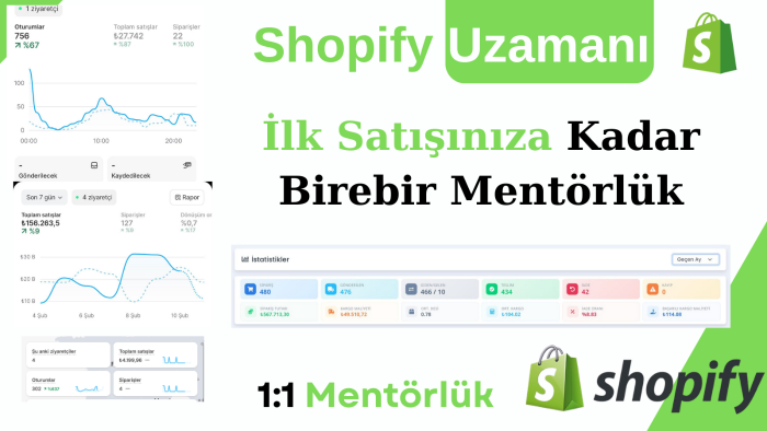 shopify ile 0'dan ilk satışa kadar birebir mentörlük yaparım