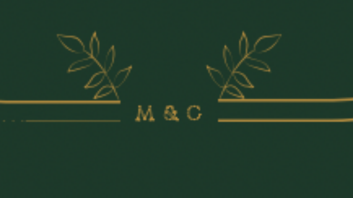 logo tasarımı yapabilirim