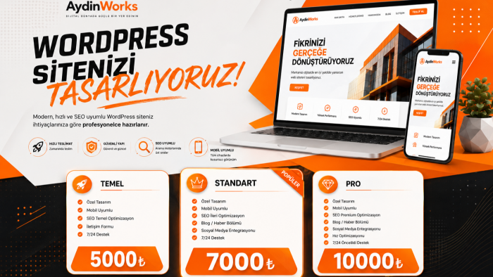 profesyonel anahtar teslim websitesi tasarlıyorum