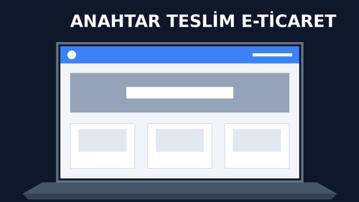 anahtar teslim e-ticaret ve kurumsal web sitesi kurarım