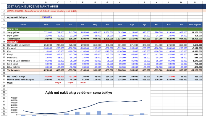 işletmeniz için bütçe ve nakit akışı tablosu hazırlarım