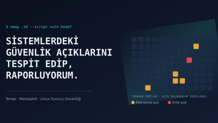 sistemlerdeki güvenlik açıklarını tespit edip, raporlarım