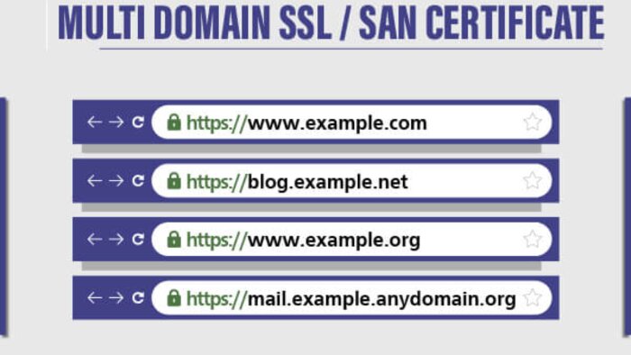 5,10,15,20,30,40,50,100 siteye kadar SSL kurabilirim