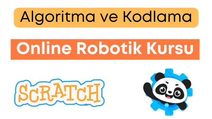 online robotik kodlama eğitimi veririm