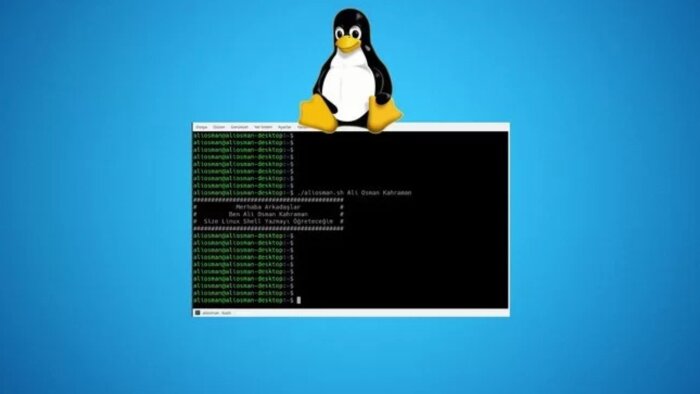 linux server kurulumu yapıyorum