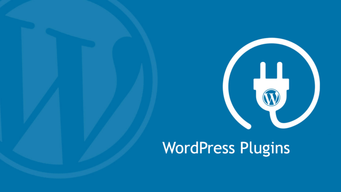 wordpress eklentileri kurabilirim