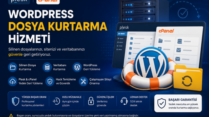 silinen WordPress sitenizi güvenle geri yüklüyorum