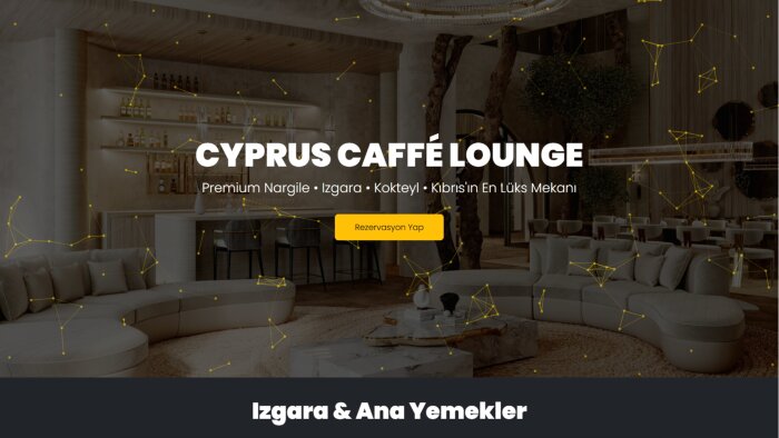 profesyonel web sitesi tasarımı yapıyorum