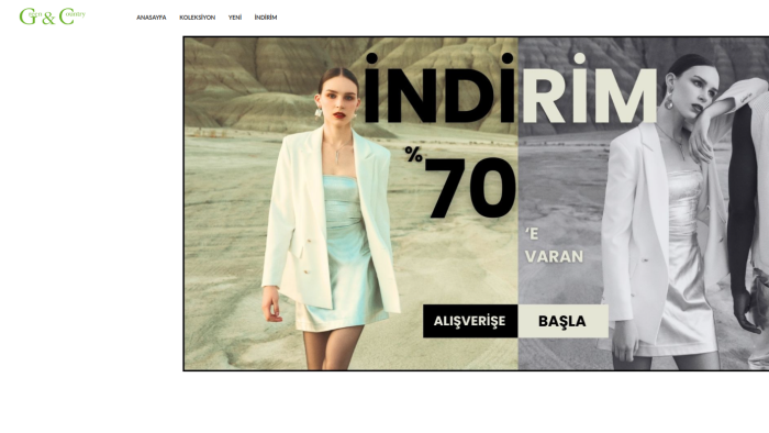 Wordpress ile profesyonel bir websitesi yapabilirim
