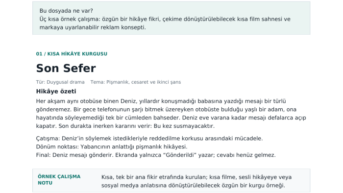 kısa hikaye, film senaryosu ve reklam metinleri yazıyorum